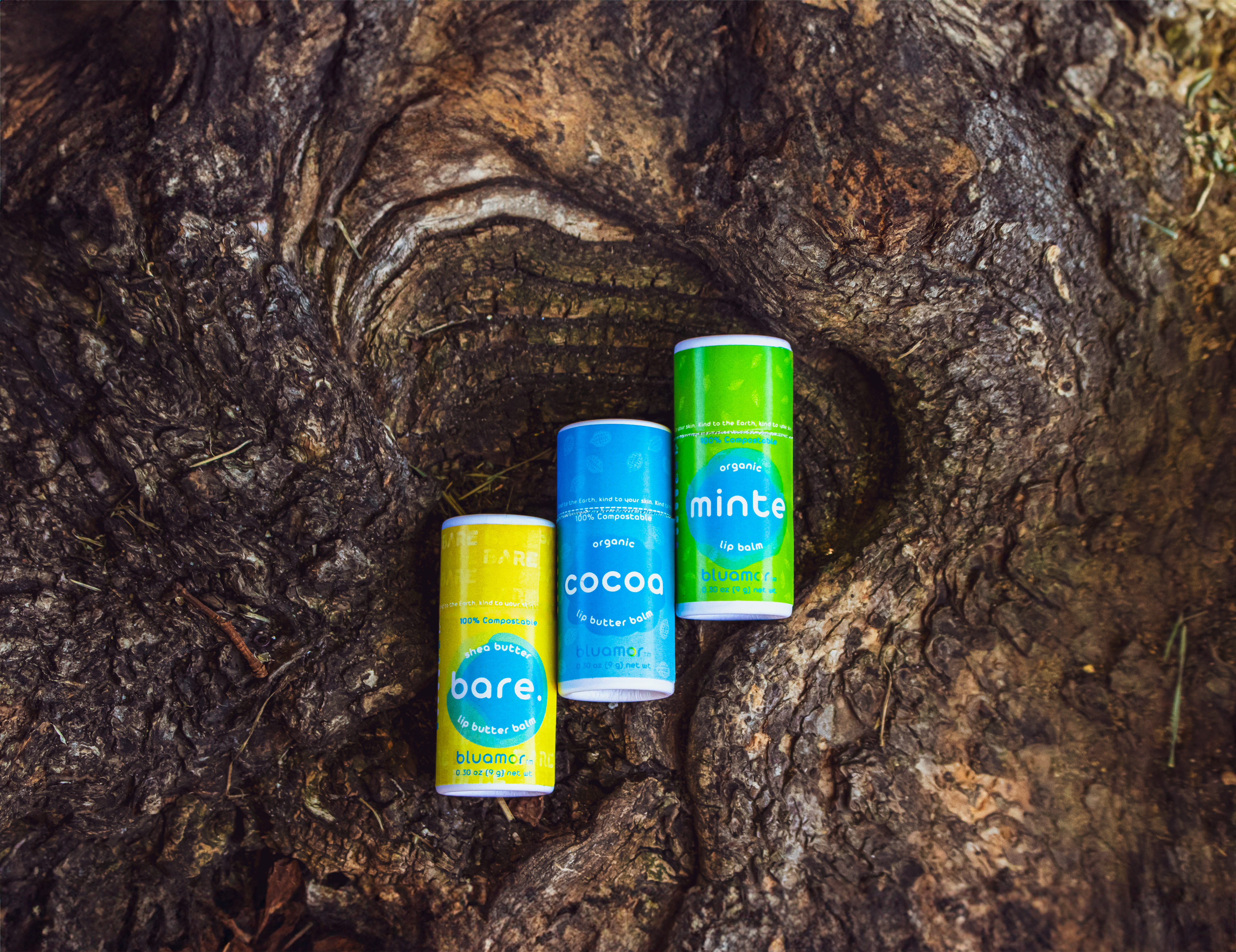 Three colorful Bluamor lip balm tubes labeled "bare," "cocoa," and "minte" arranged on a textured tree trunk background.