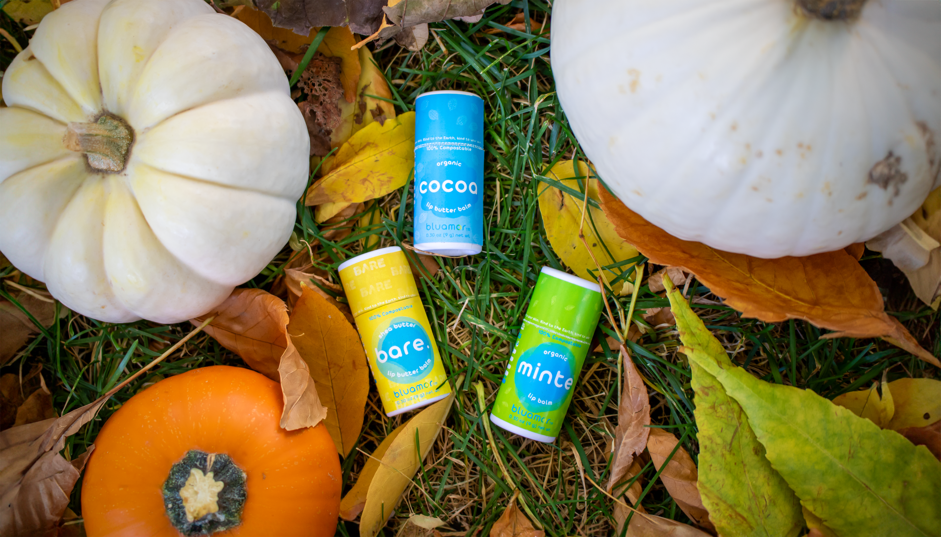 Three organic lip balms on grass and autumn leaves, surrounded by white and orange pumpkins, creating a cozy fall scene.