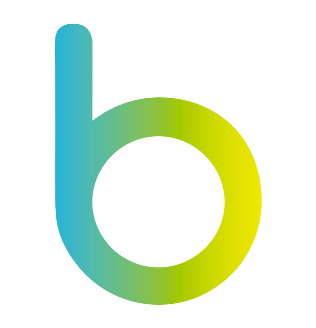 the letter b with a blue-to-yellow-to-green gradient. The letter b represents the company name, bluamor.